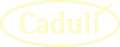 Bild: Caduli - Bio Catering & Events in Mannheim