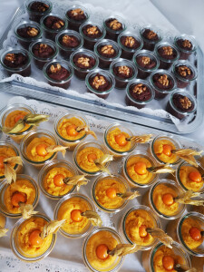 Photo 4-9-2025, 3 39 04 pm (2).jpg