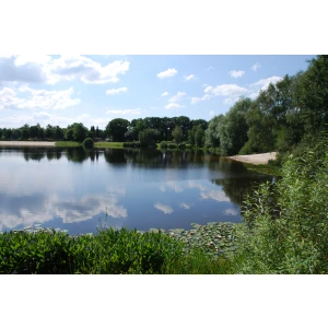 Camping und Ferienpark Falkensteinsee