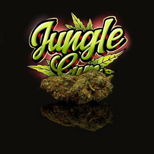 CBD Blüten kaufen Bayern Jungle Gum