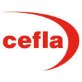 CEFLA Dental Group Deutschland GmbH
