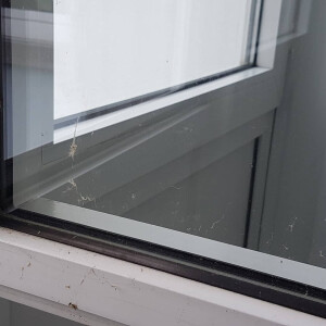 Fensterreinigung vorher nachher
