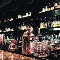 Check In Bar & Lounge Michaela Wolf