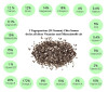 Bild: chia-samen-fit.de