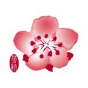 Logo China Airlines Ltd.