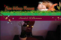 Logo CHINA-WELLNESS.DE Ltd. & Co. KG