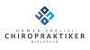 Bild: Chiropraktiker Hamed Shalizi