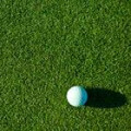 Logo Christian Frische - bel verde