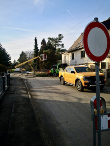 5ac86543-64ca-46dc-abdb-ea7762064e73 2.jpg