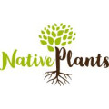 Christoph Rogmans - Native Plants