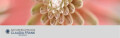 Logo Frank, Claudia