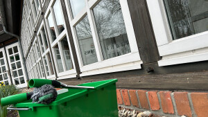 Clean Dream Geseke Fensterreinigung Geseke