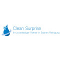 Clean Surprise