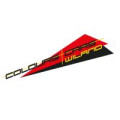 Logo Colours & Cars Wiland