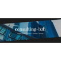 Consulting b2b Dirk Burghausen