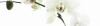 Bild: Cosmetics am Talweg - Monika Gundlach
