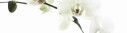 Logo Cosmetics am Talweg - Monika Gundlach