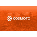 Cosmoto Filmproduktion, Medienproduktion, Internet