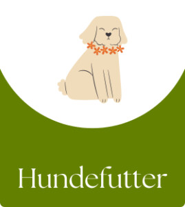 Gesundes Hundefutter