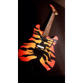 Custom Guitars Plakan