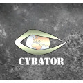 Cybator Computer Werkstatt Computerreparatur