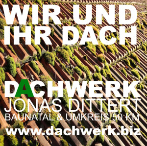 wir und ihr dach moos.jpg