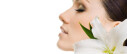 Logo Daiva`s Kosmetik Lounge