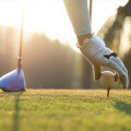 Dammas Green im Golfclub Stadtwald