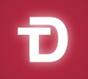 DT Logo klein.png