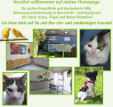 Logo Daubenbüchel, Renate Dr.med.vet.