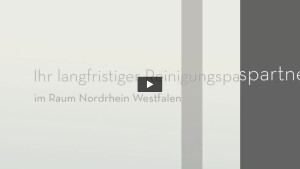 DE-Reinigung