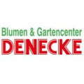 DENECKE - Blumen- und Gartencenter OHG