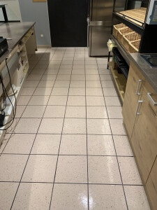 IMG_2770.jpeg