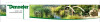 Bild: Denneler Garten- und Landschaftsbau GmbH