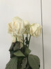 Bild: Der Blumenladen Inh. Elke Duiker