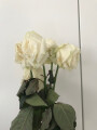 Bild: Der Blumenladen Inh. Elke Duiker in Wiesbaden