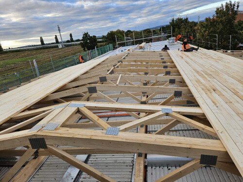 IMG-20250120-WA0001 - Kopie.jpg