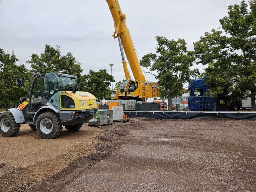 WhatsApp Bild 2025-01-20 um 06.48.53_eb948672.jpg