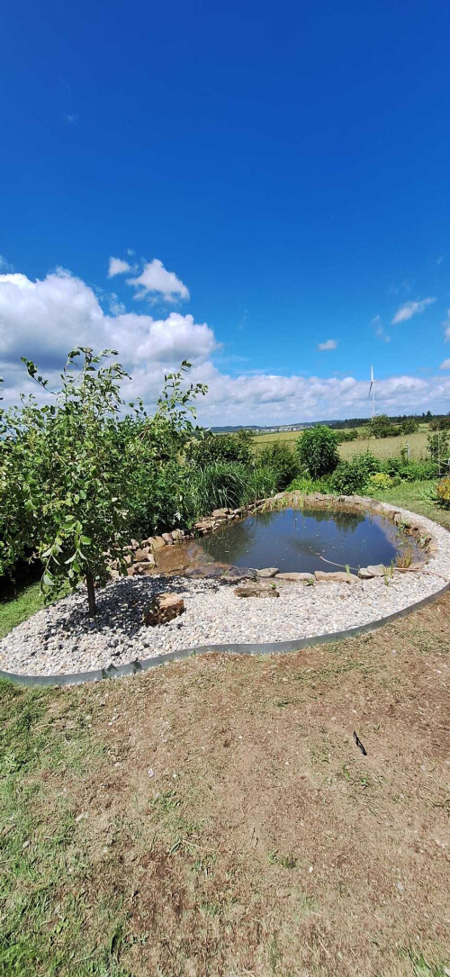 WhatsApp Bild 2024-06-15 um 17.53.04_af3efed0.jpg