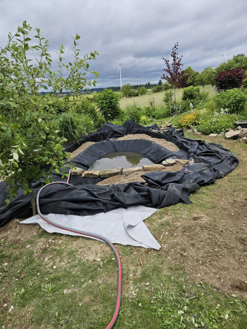 WhatsApp Bild 2025-01-20 um 07.05.12_fdc74f63.jpg