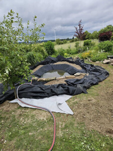 WhatsApp Bild 2025-01-20 um 07.05.12_fdc74f63.jpg