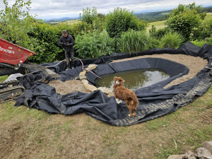 WhatsApp Bild 2025-01-20 um 07.05.13_90f8b764.jpg