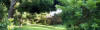 Bild: Der Gartenfreund