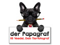Bild: der Papagraf in Köln