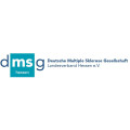 Deutsche Multiple Sklerose Gesellschaft Landesverband Hessen e.V. Beratung im Gesundheitswesen