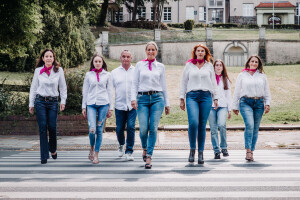 Zebrastreifen ohne Hunde klein.jpg