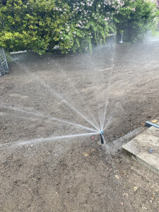 Bewässerung Garten