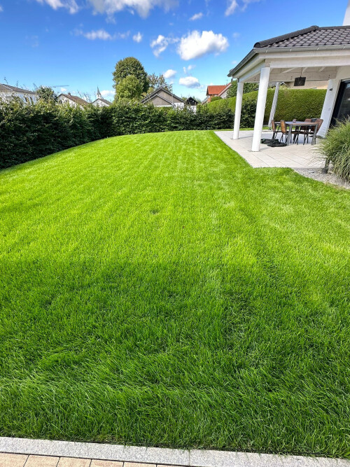 WhatsApp Bild 2023-08-15 um 15.43.26.jpg