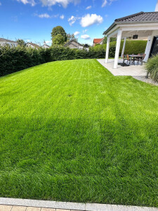 WhatsApp Bild 2023-08-15 um 15.43.26.jpg