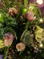 Bild: Die Sonnenblume Inh. Linda Personius Blumenladen in Bremerhaven